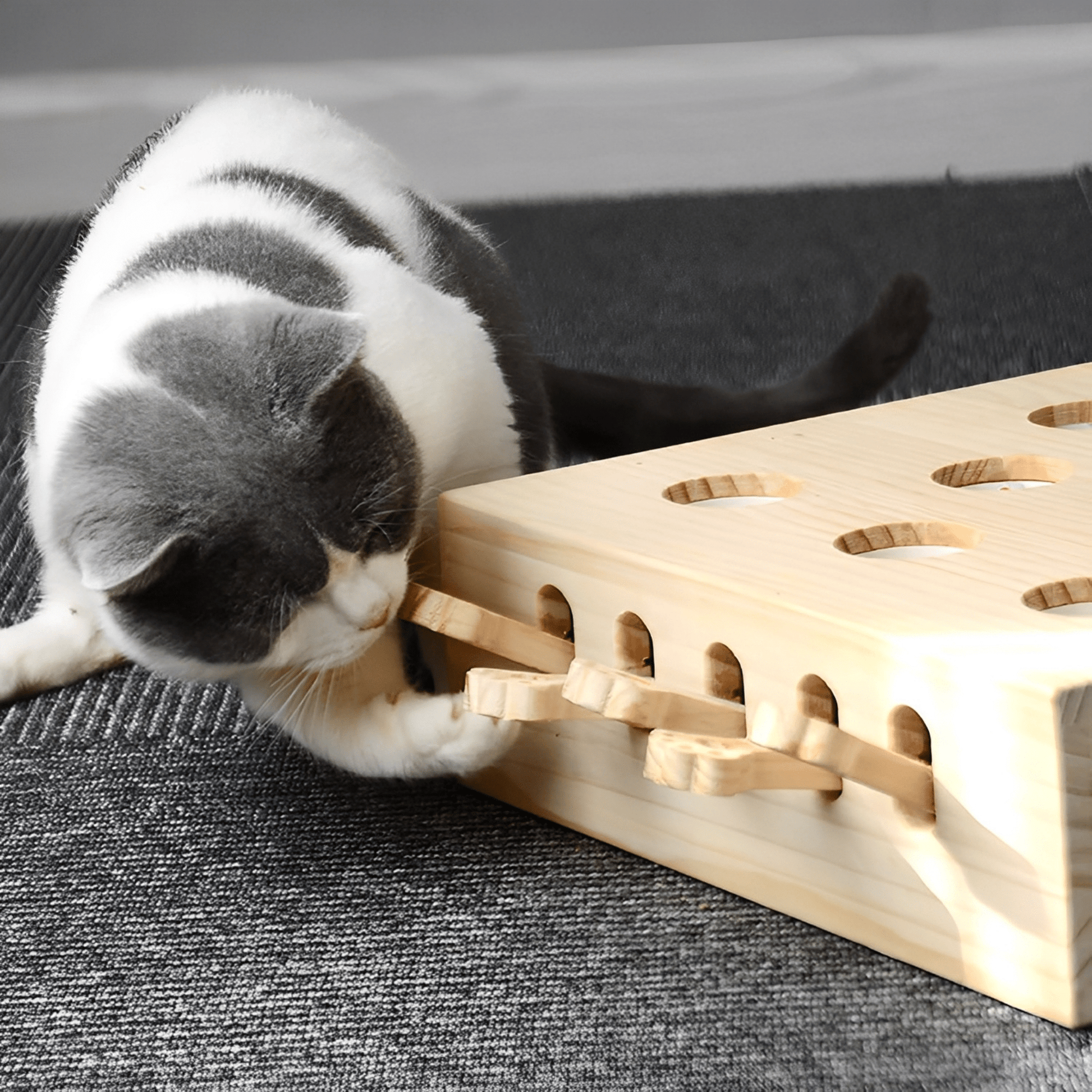 MoleHunt - Houten Interactief Whack - a - Mole Kattenspeelgoed - Mivero