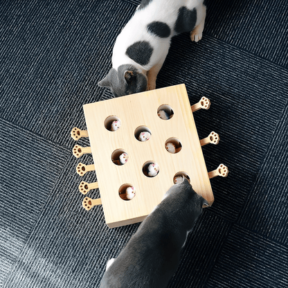 MoleHunt - Houten Whack - A - Mole KattenSpeelgoed - Mivero