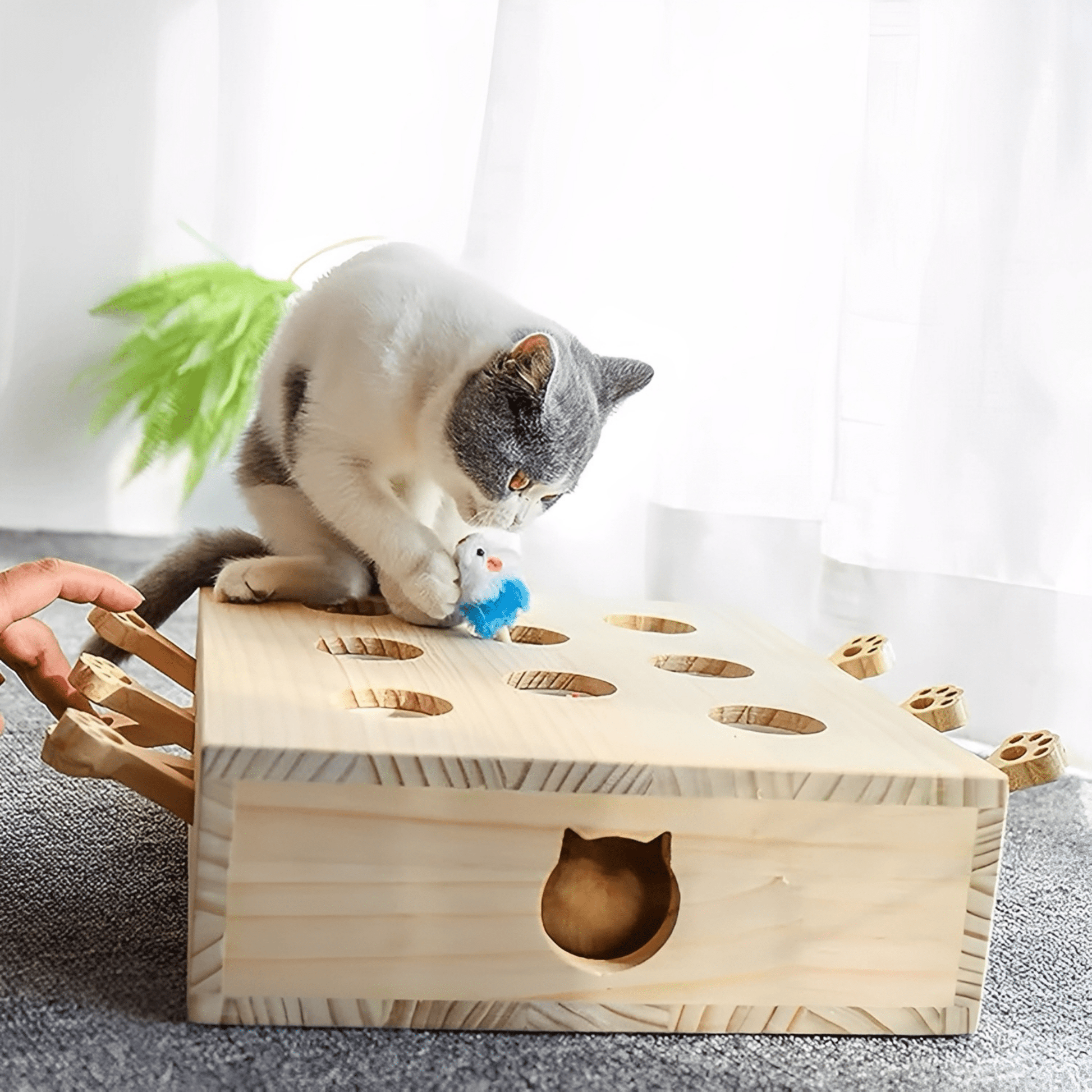 MoleHunt - Houten Whack - A - Mole KattenSpeelgoed - Mivero