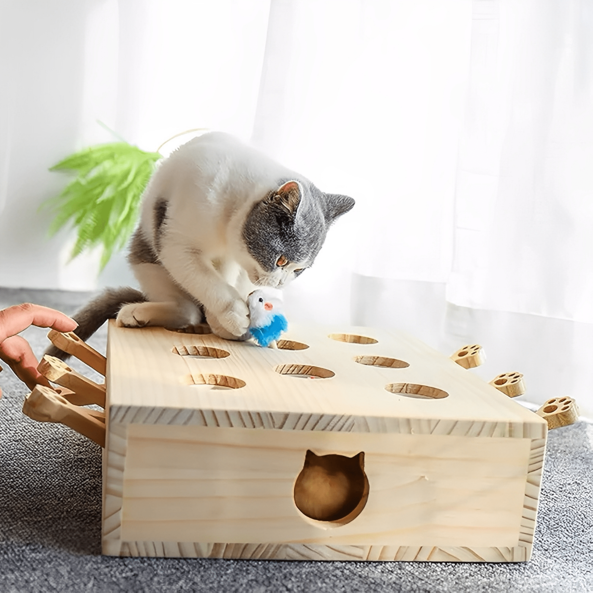 MoleHunt - Houten Whack - A - Mole KattenSpeelgoed - Mivero