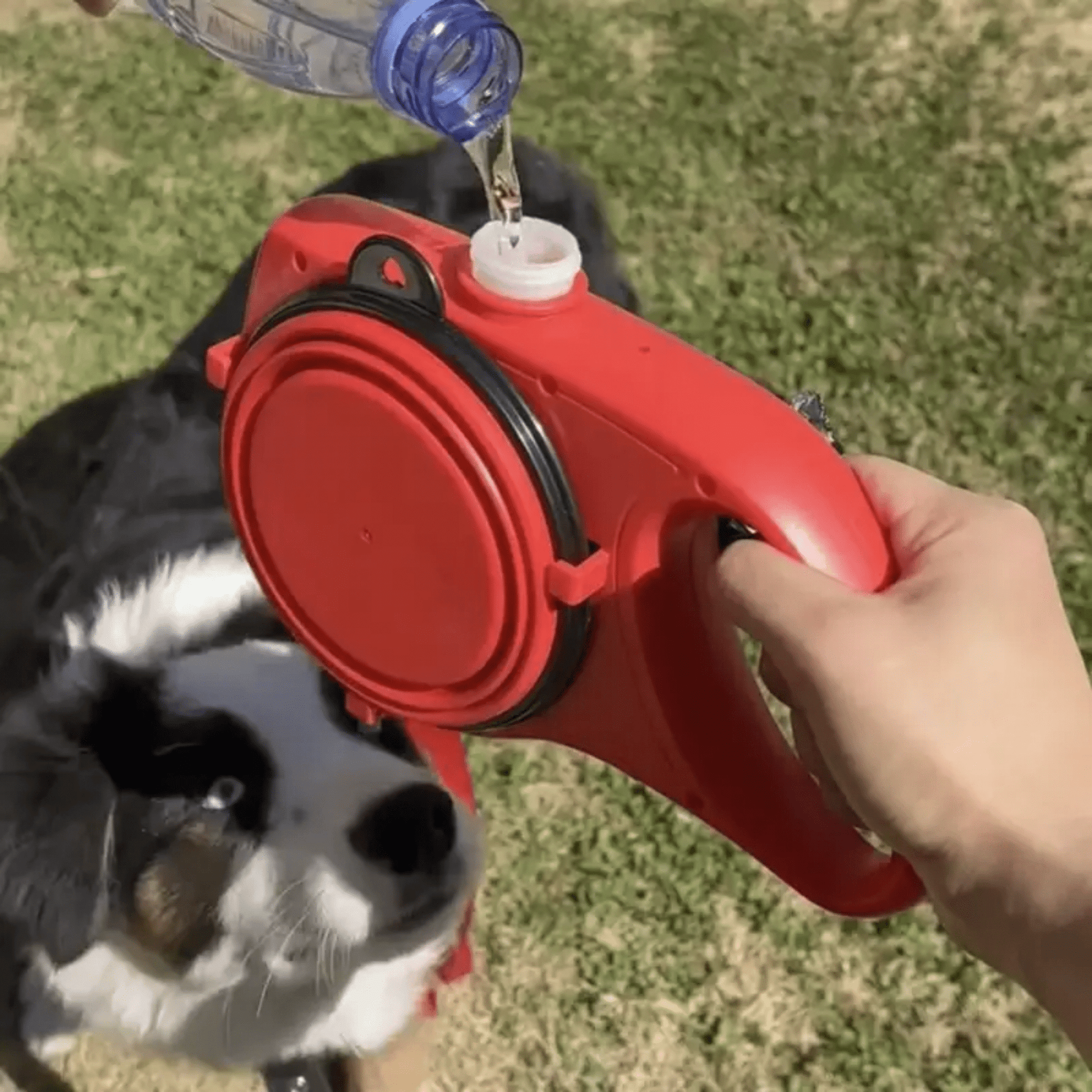 MoveMate - Handsfree Reflecterende Hondenlijn - Mivero