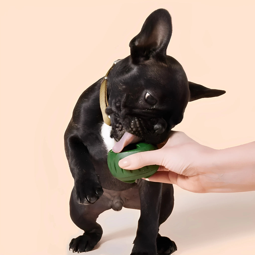 MunchOrb - Honden Snackbal Vriesbaar Natuurrubber - Mivero