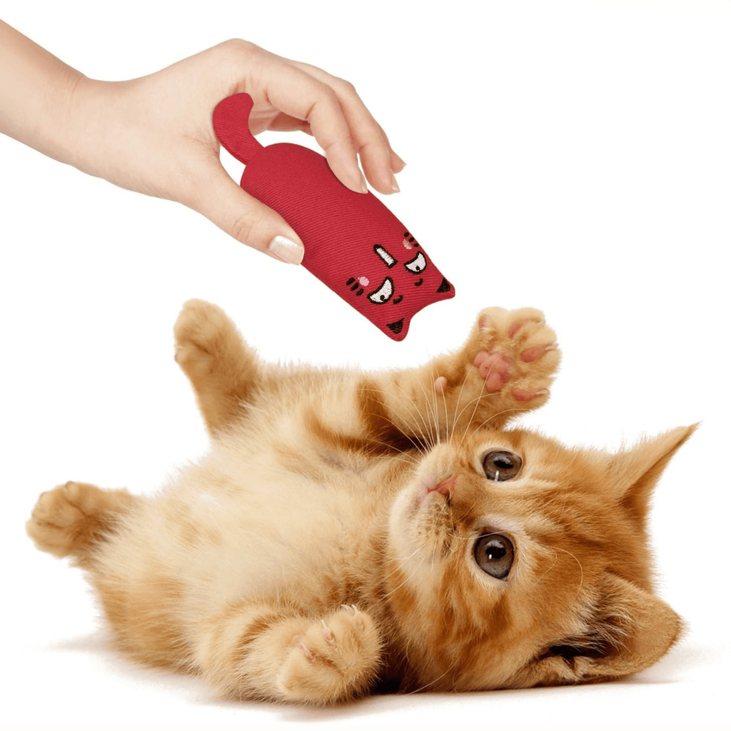 Munchpaw - Catnip Pluche Tandspeeltjes - Mivero