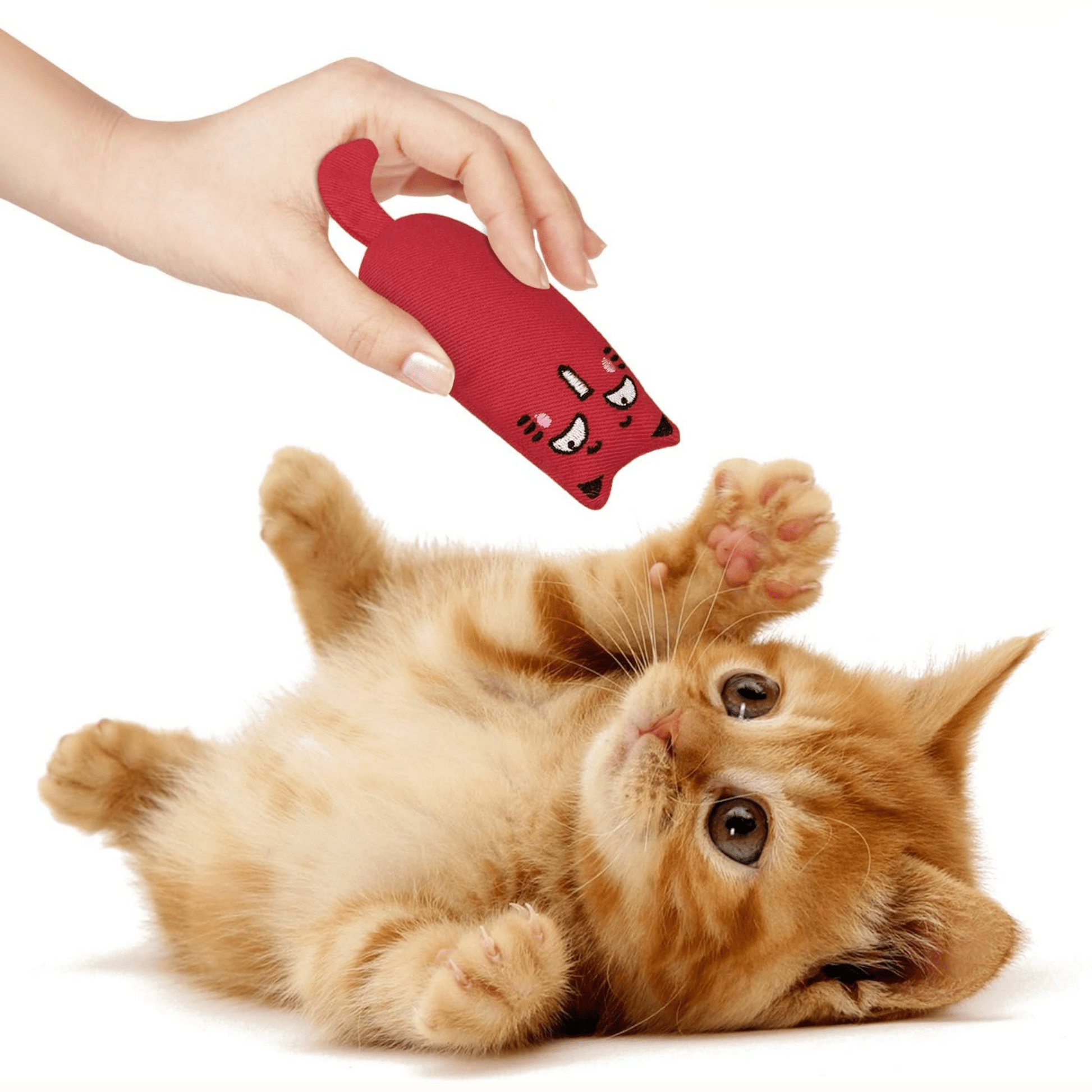 Munchpaw - Catnip Pluche Tandspeeltjes - Mivero