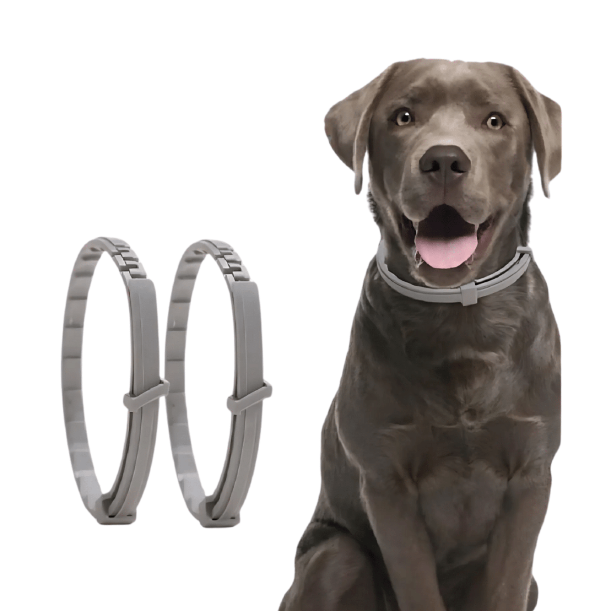 NatureGuard - Natuurlijke Anti - Teken Huisdierhalsband - Mivero