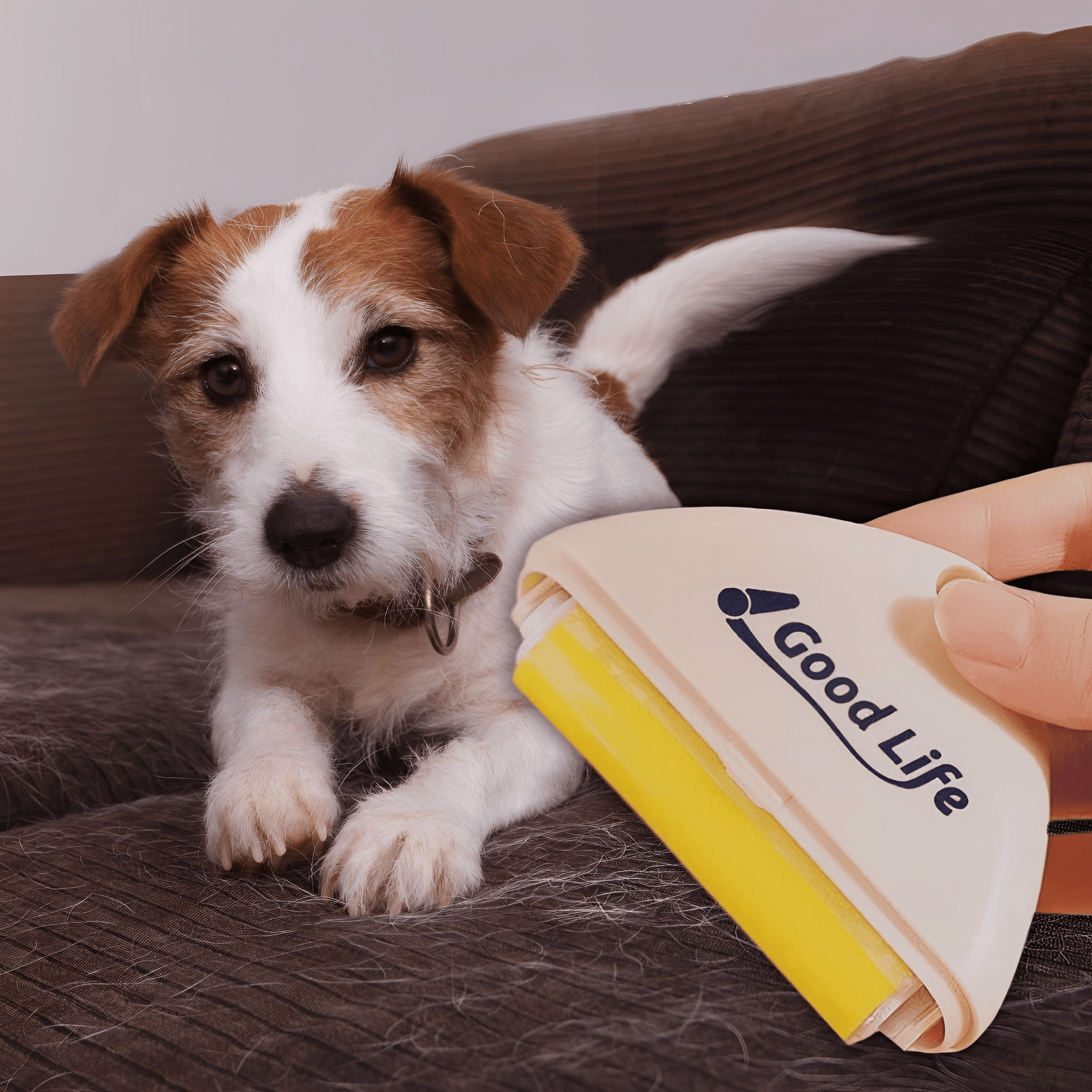 NeatSwipe - Herbruikbare Huisdierhaar Roller - Mivero