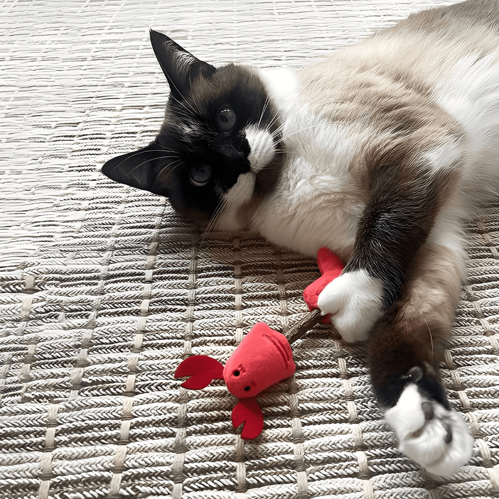 Nibblish – Katten Speelgoed Kattenkruid Kauwstok - Mivero