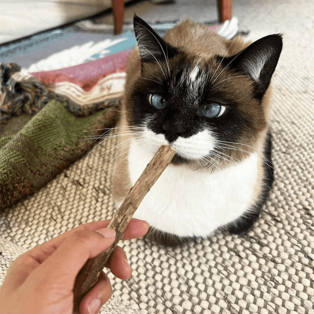 Nibbly - Kauwsticks Katten Kattenkruid Speelgoed - Mivero