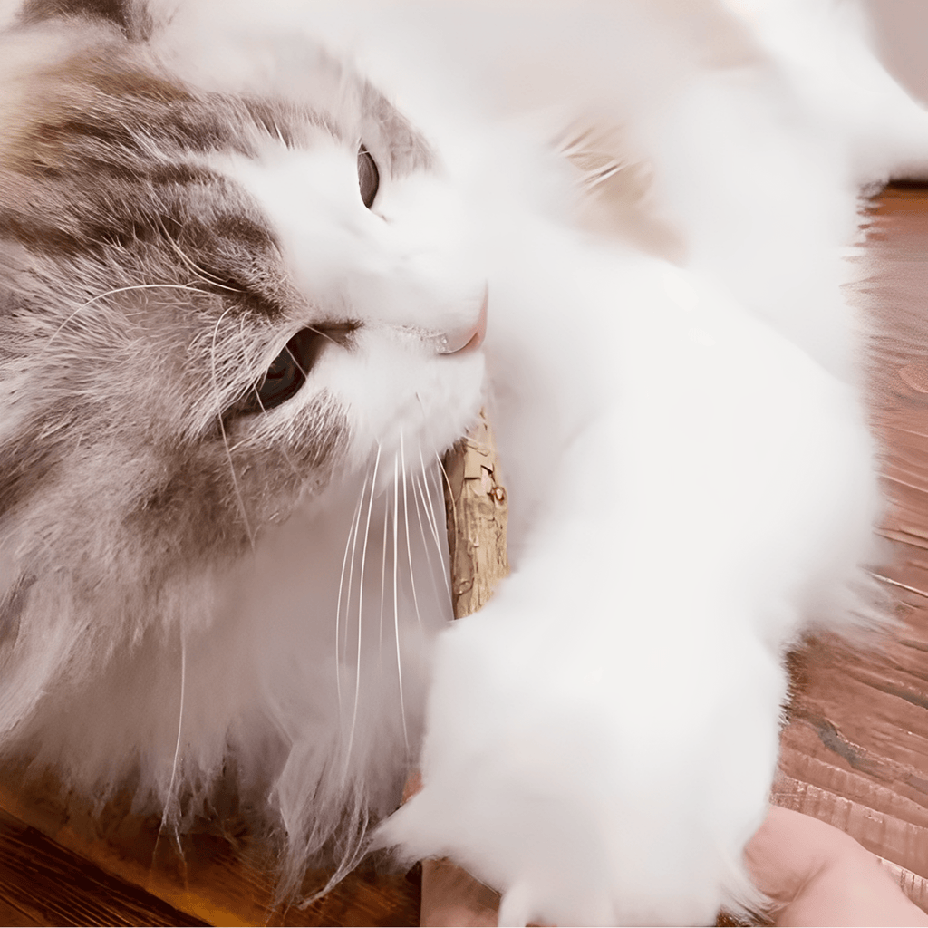 Nibbly - Kauwsticks Katten Kattenkruid Speelgoed - Mivero