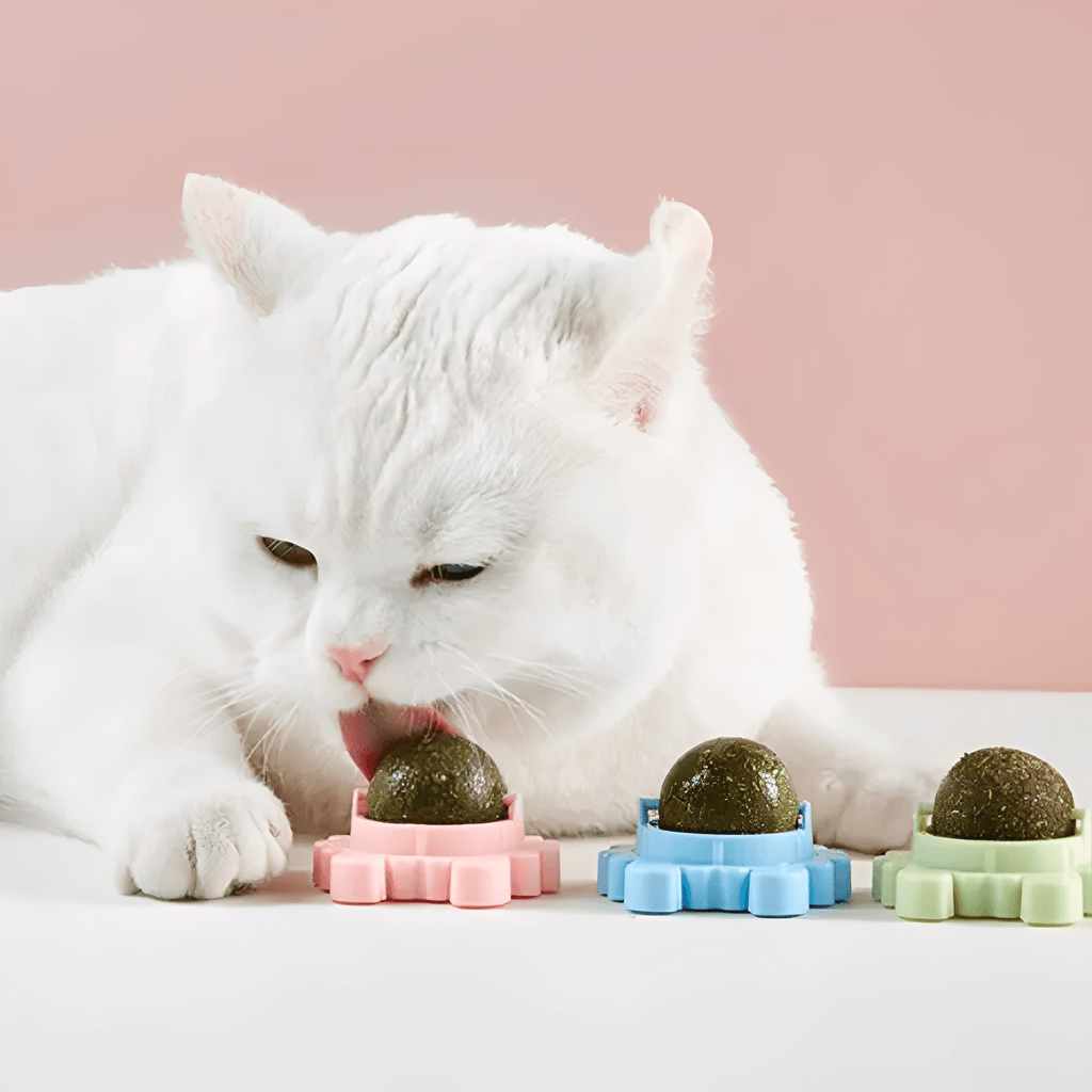 NipSpin - Draaibare Kattenkruid Likbal - Mivero