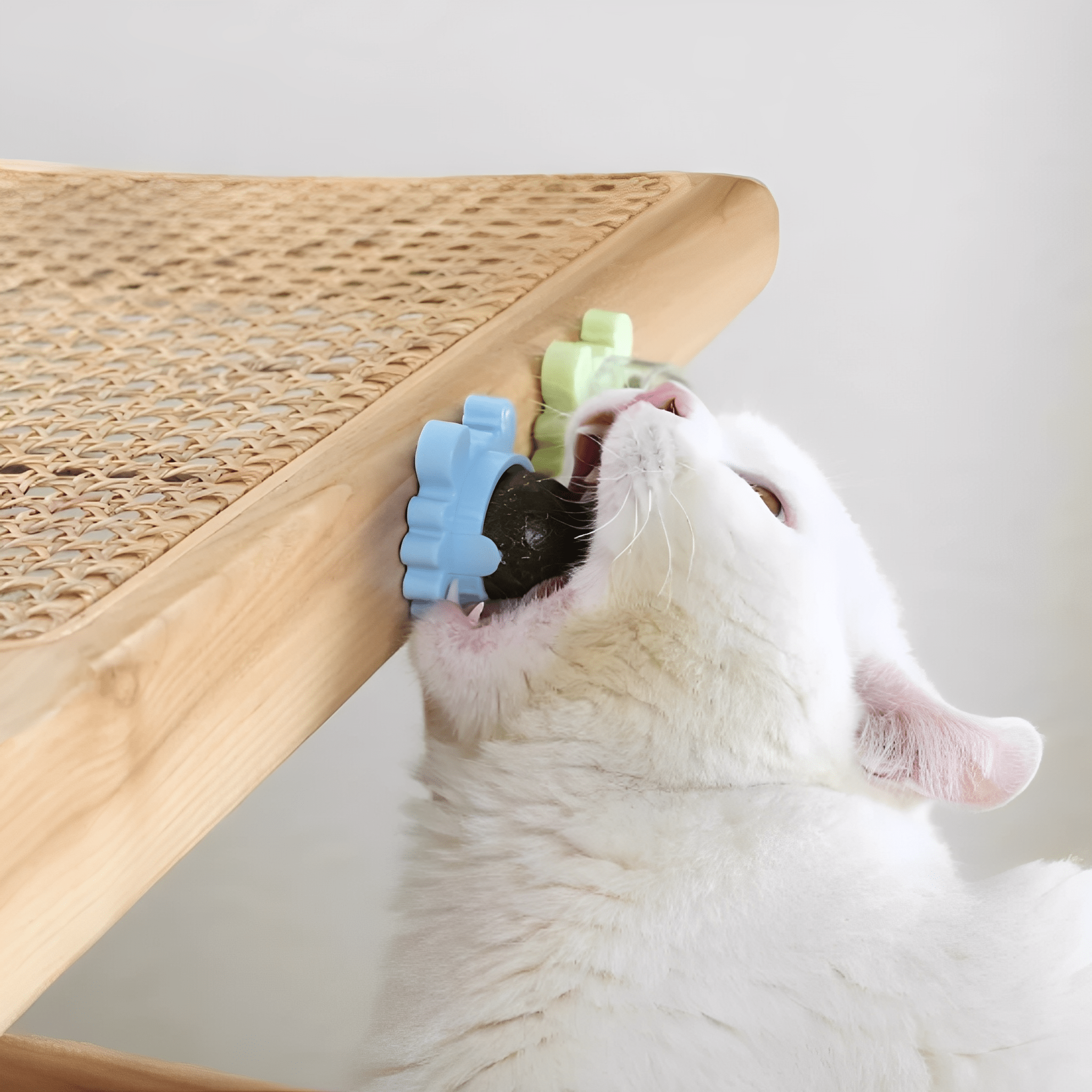 NipSpin - Draaibare Kattenkruid Likbal - Mivero