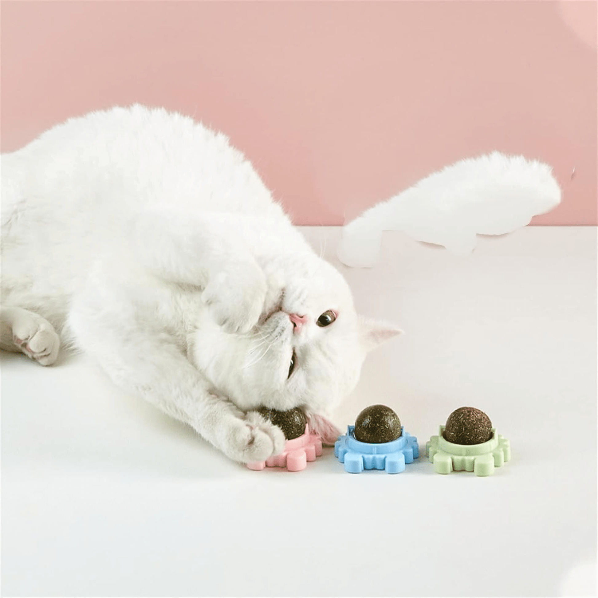 NipSpin - Draaibare Kattenkruid Likbal - Mivero