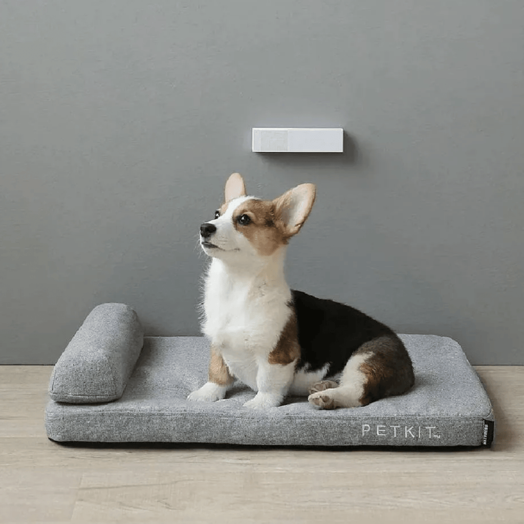 Odorix - Automatische Geursensor Luchtverfrisser - Mivero