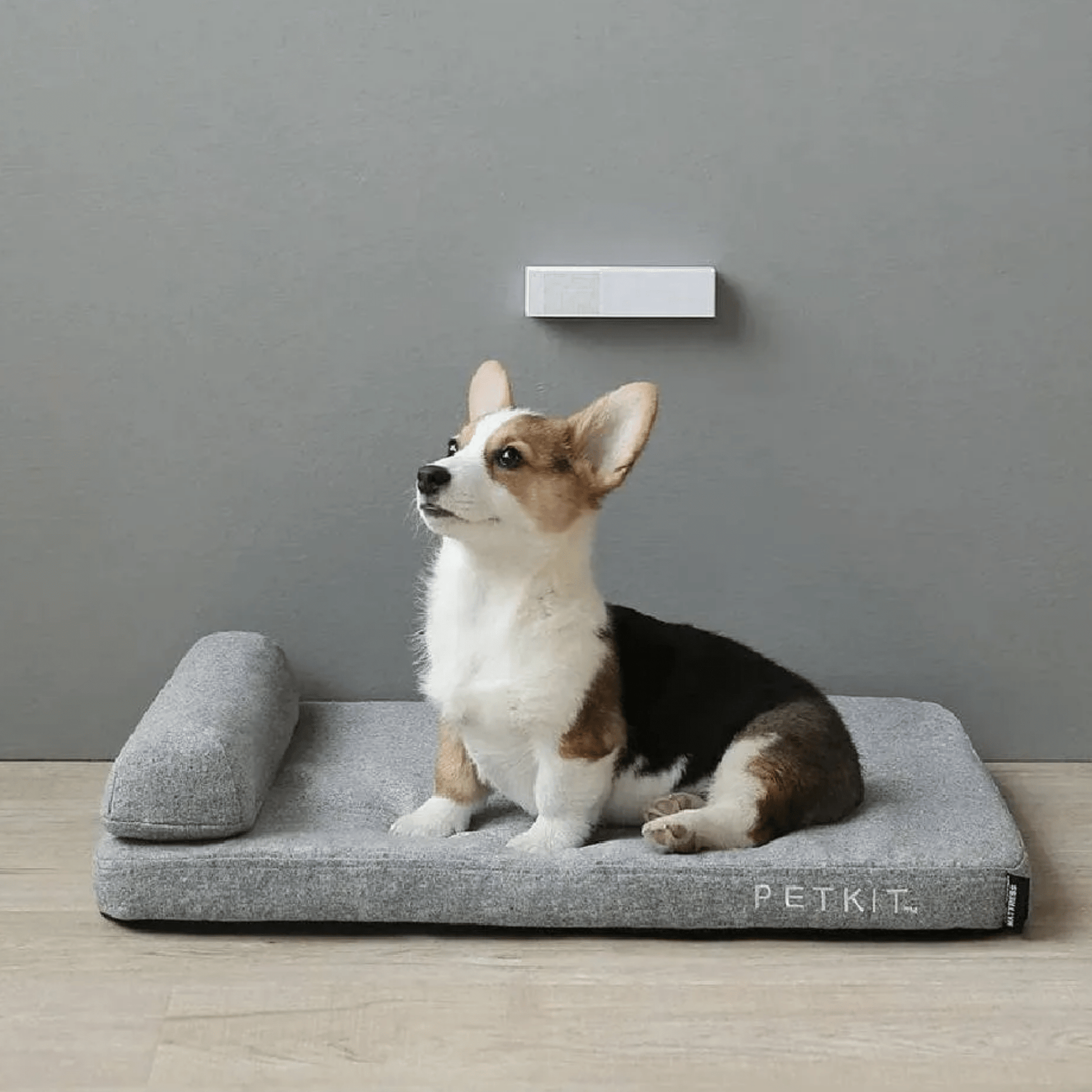 Odorix - Automatische Geursensor Luchtverfrisser - Mivero