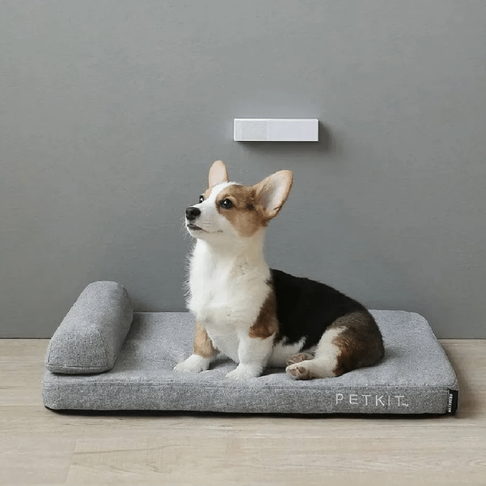 Odorix - Automatische Geursensor Luchtverfrisser - Mivero