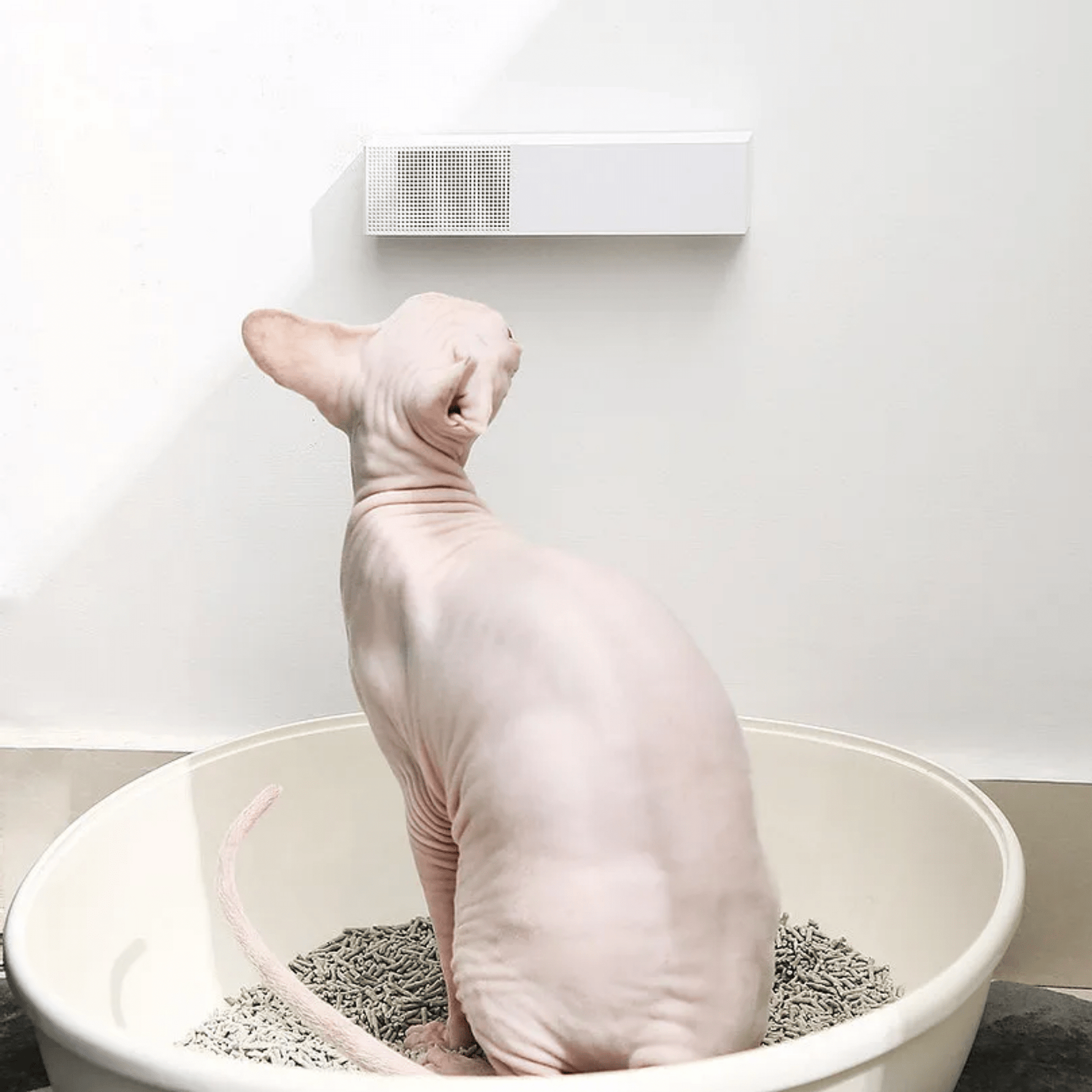 Odorix - Automatische Geursensor Luchtverfrisser - Mivero