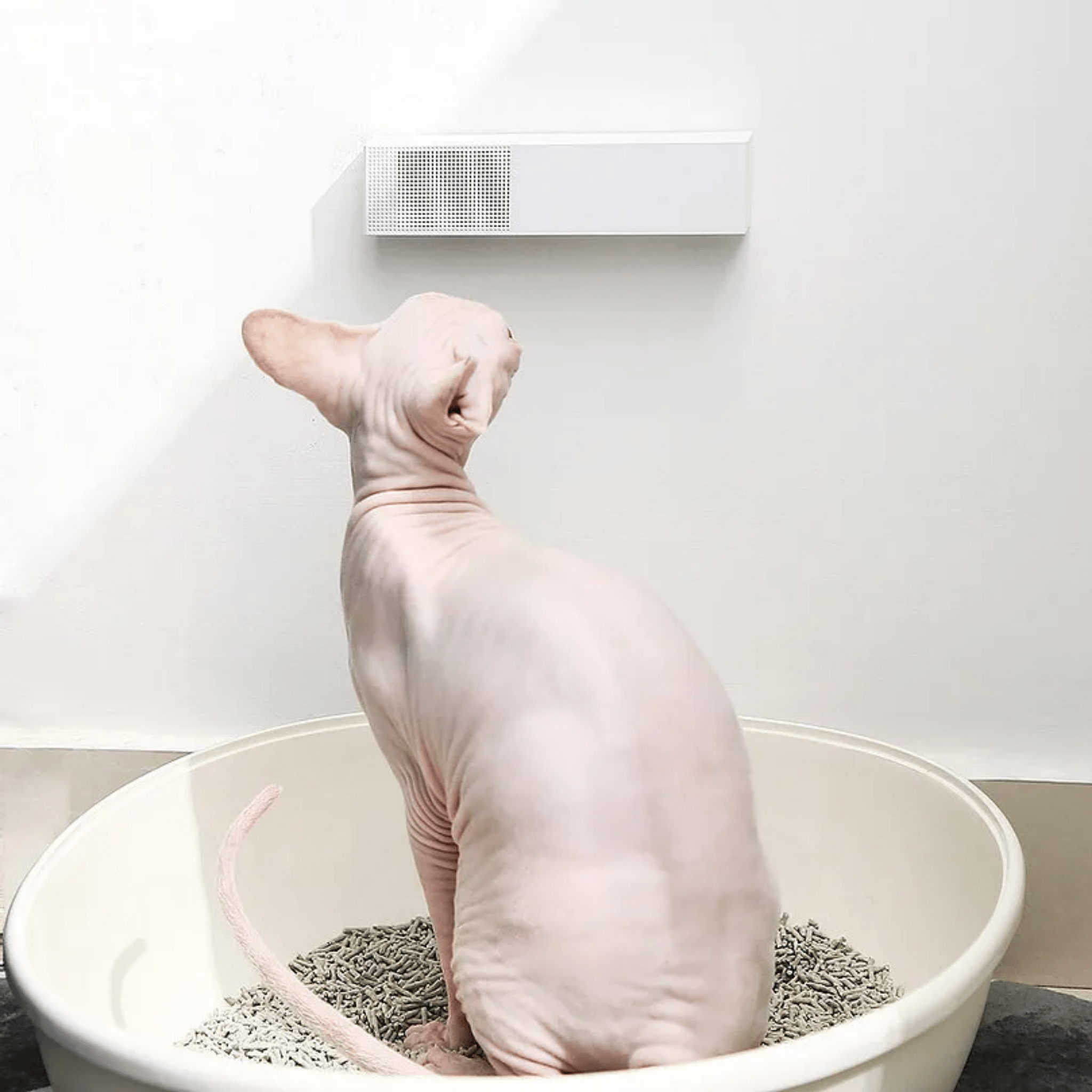 Odorix - Automatische Geursensor Luchtverfrisser - Mivero