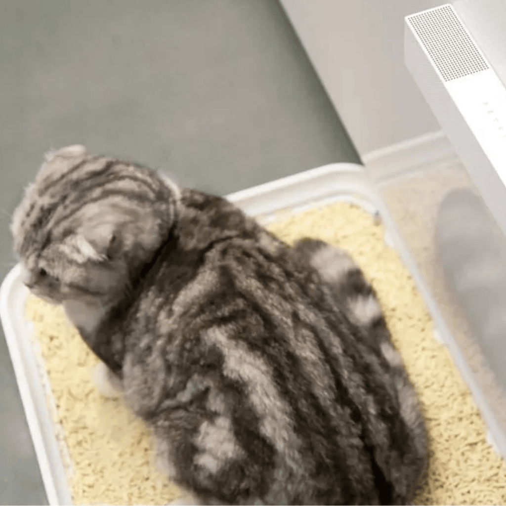 Odorix - Automatische Geursensor Luchtverfrisser - Mivero