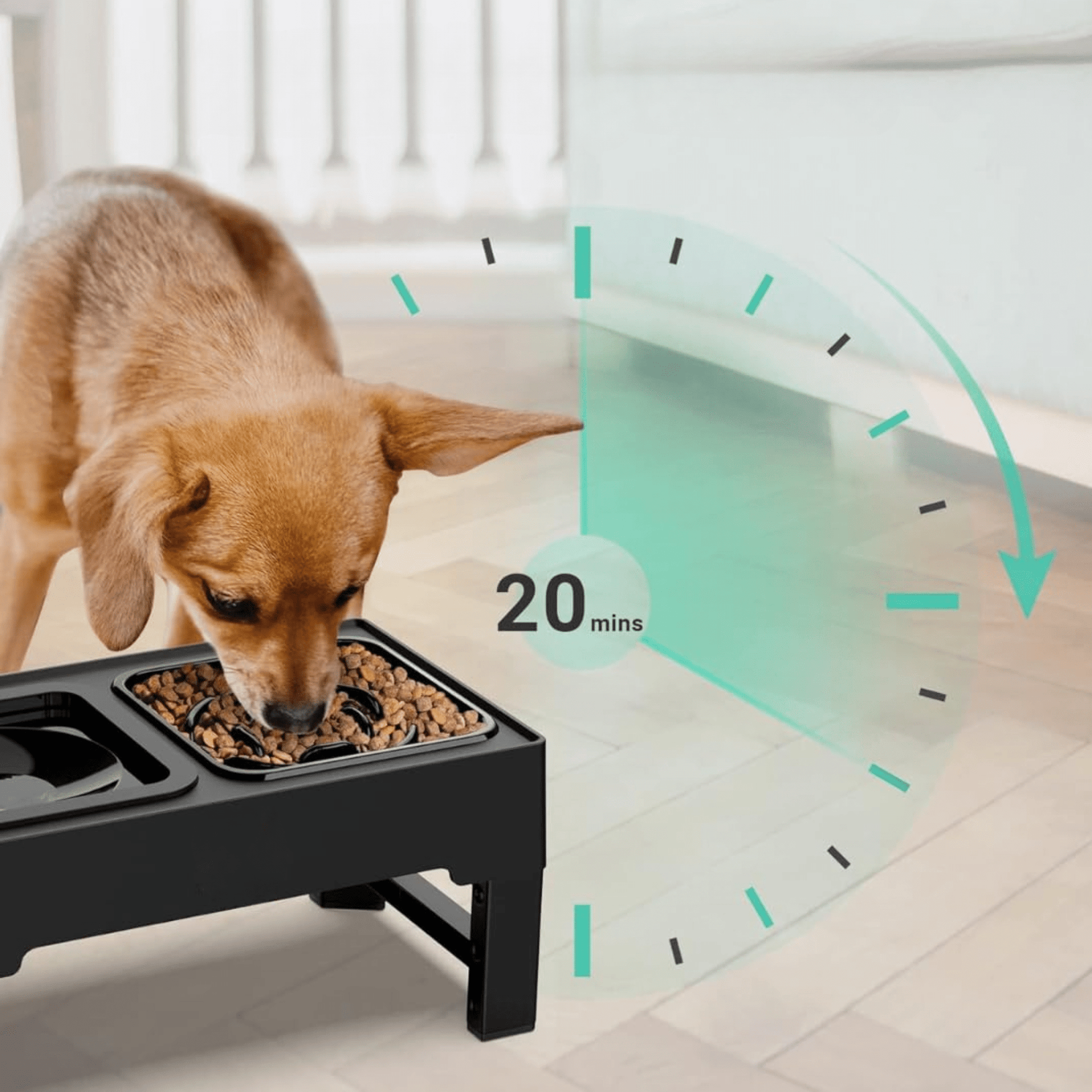 PaceBowl - Verstelbare Anti - Knoei Voerbak - Mivero