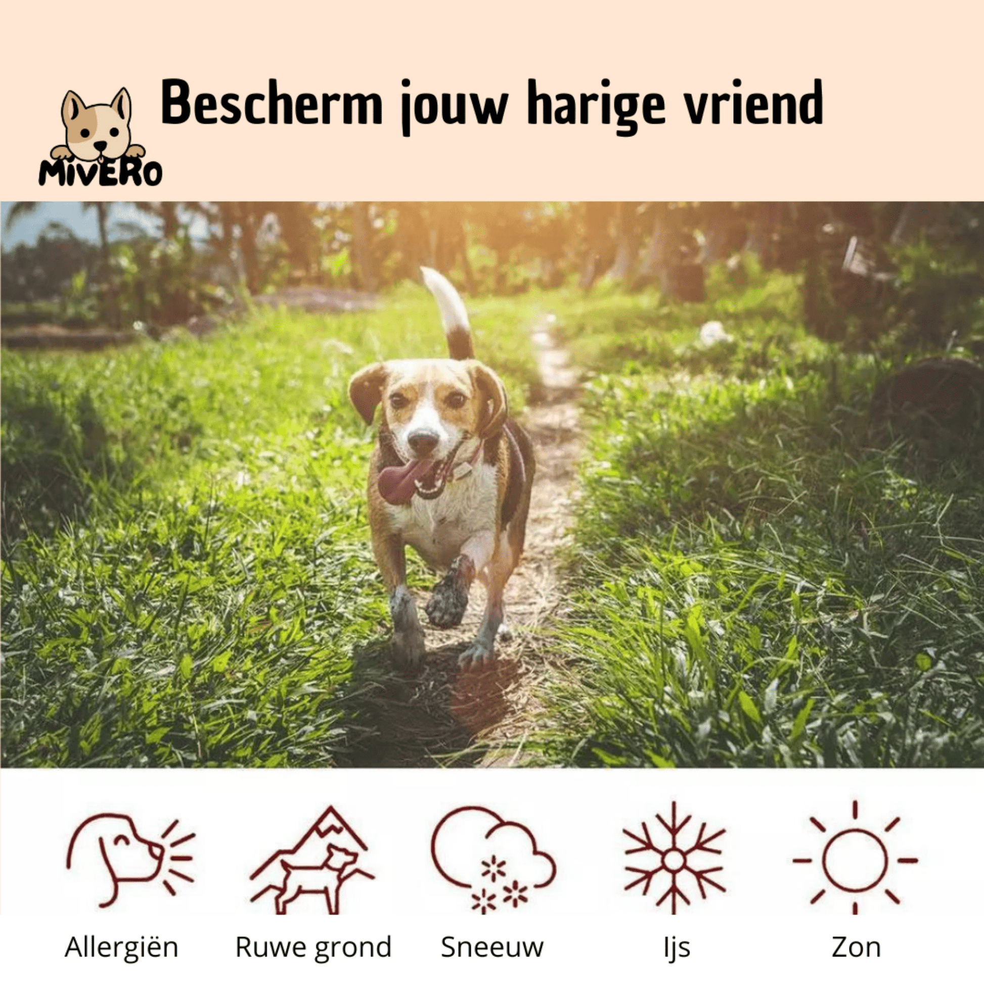 PawBalm - Heeft jouw huisdier last van droge pootjes? - Mivero