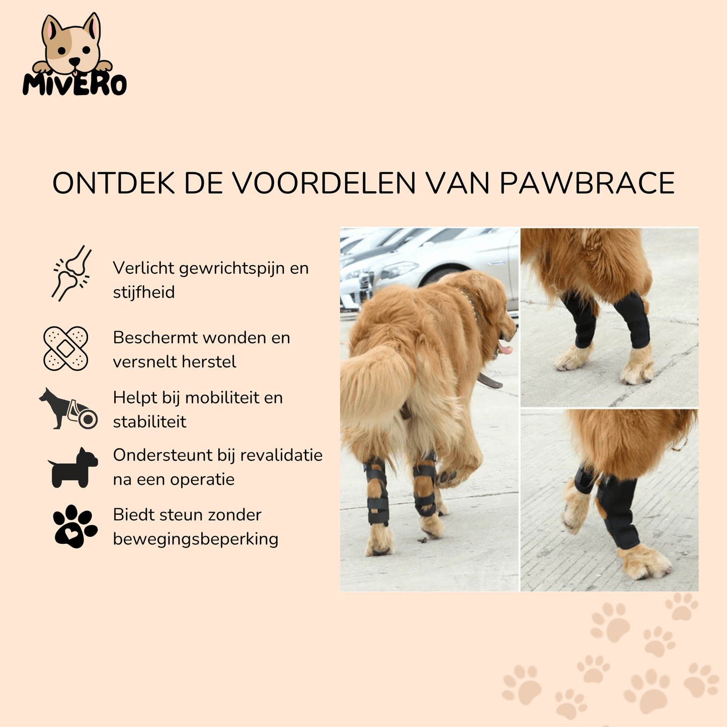 pawbrace - orthopedische honden pootbrace - mivero