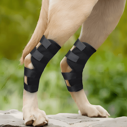 PawBrace - Orthopedische Honden Pootbrace - Mivero