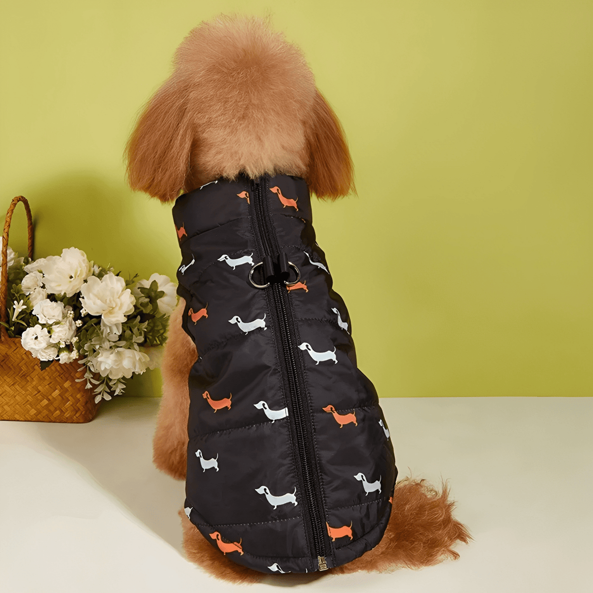 PawCozy - Hondenjas Gevoerd met D-ringen - Mivero