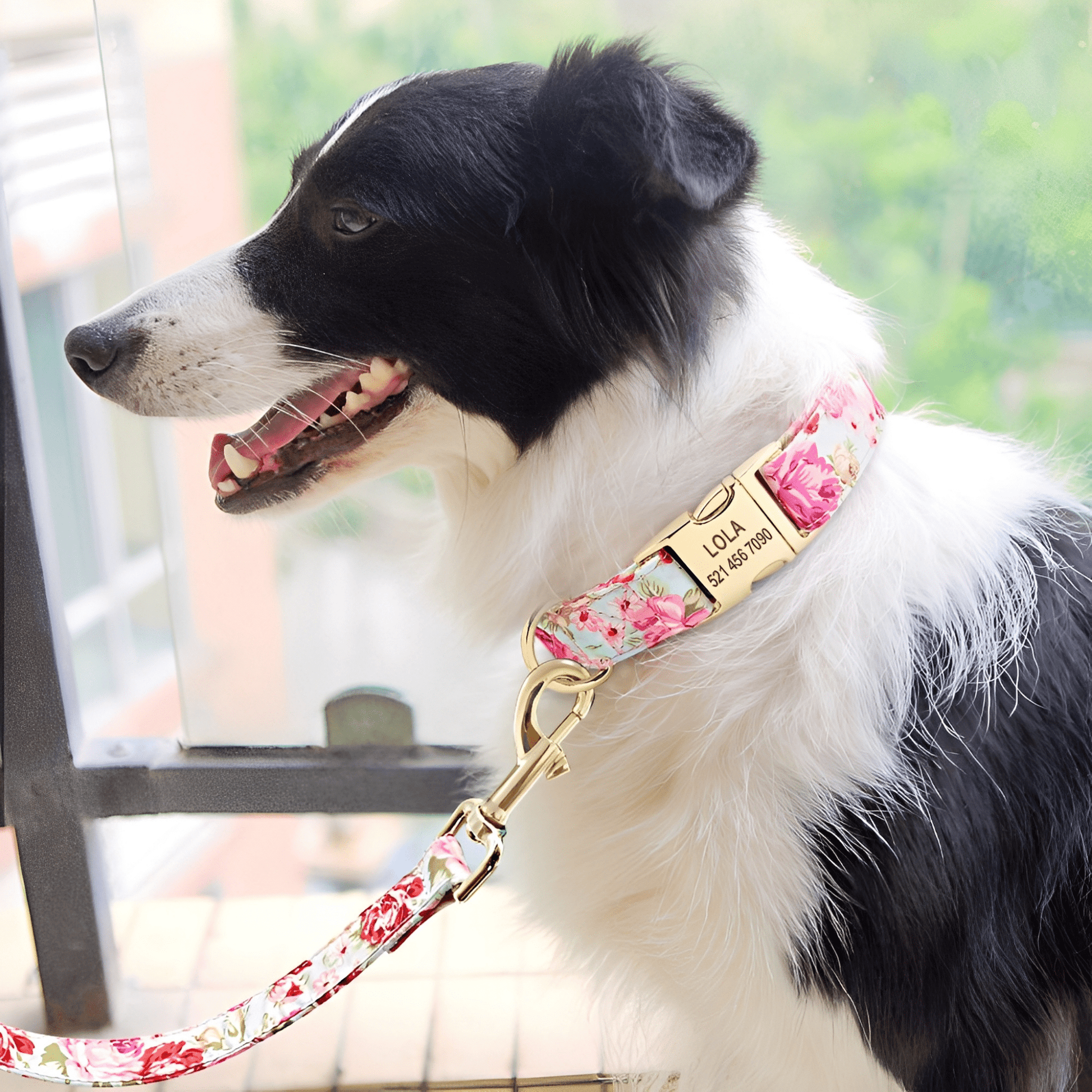 Pawdentify - Gegraveerde Nylon Hondenhalsband - Mivero