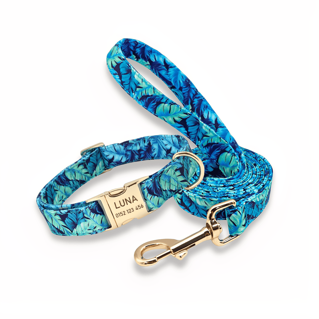 Pawdentify - Gegraveerde Nylon Hondenhalsband - Mivero