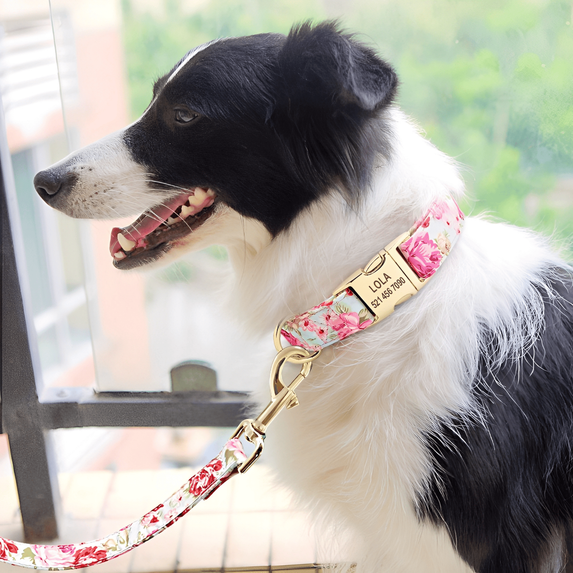 Pawdentify - Gegraveerde Nylon Hondenhalsband - Mivero