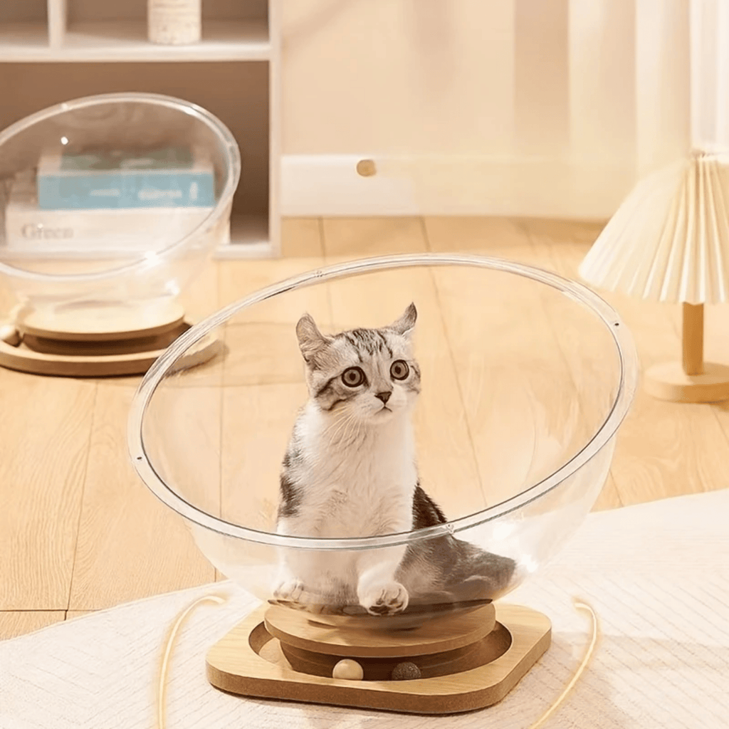 Pawdome - Transparante Speelcapsule Kattenbed - Mivero