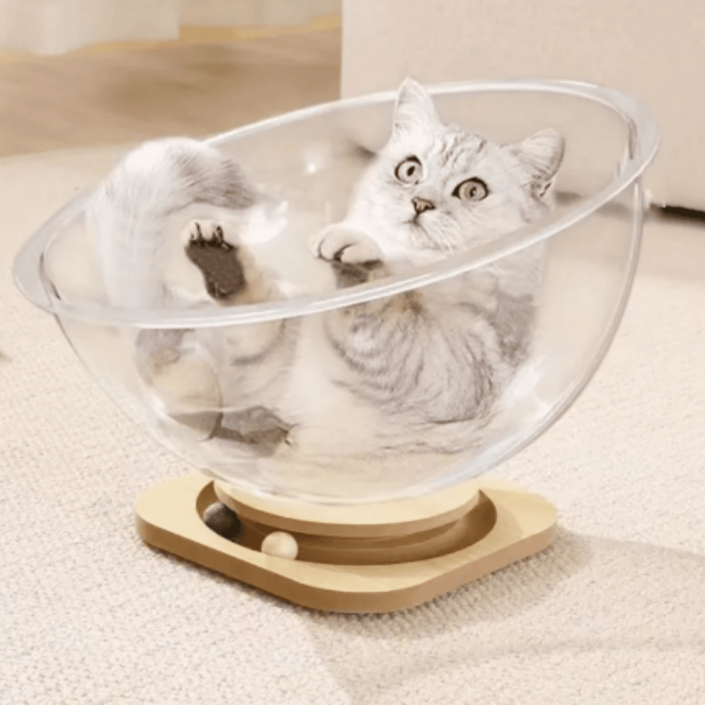 Pawdome - Transparante Speelcapsule Kattenbed - Mivero