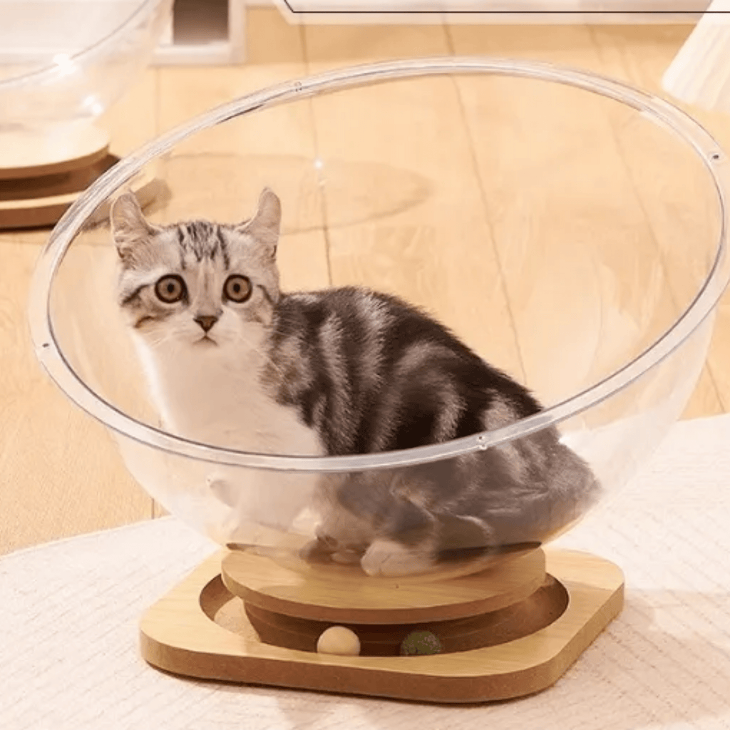 Pawdome - Transparante Speelcapsule Kattenbed - Mivero