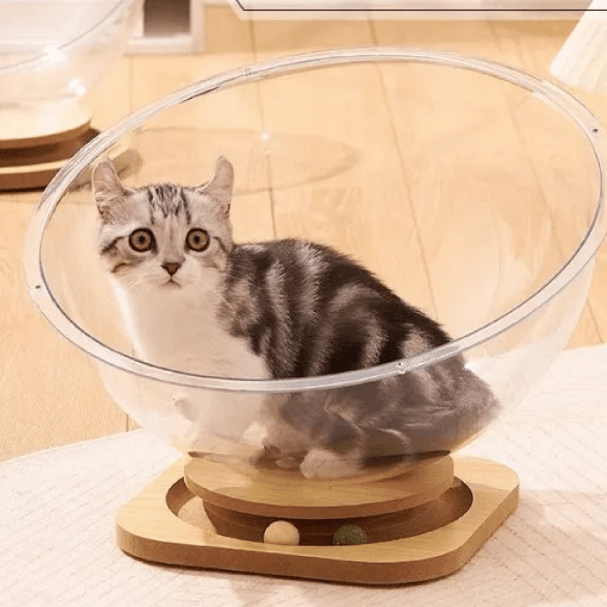 Pawdome - Transparante Speelcapsule Kattenbed - Mivero