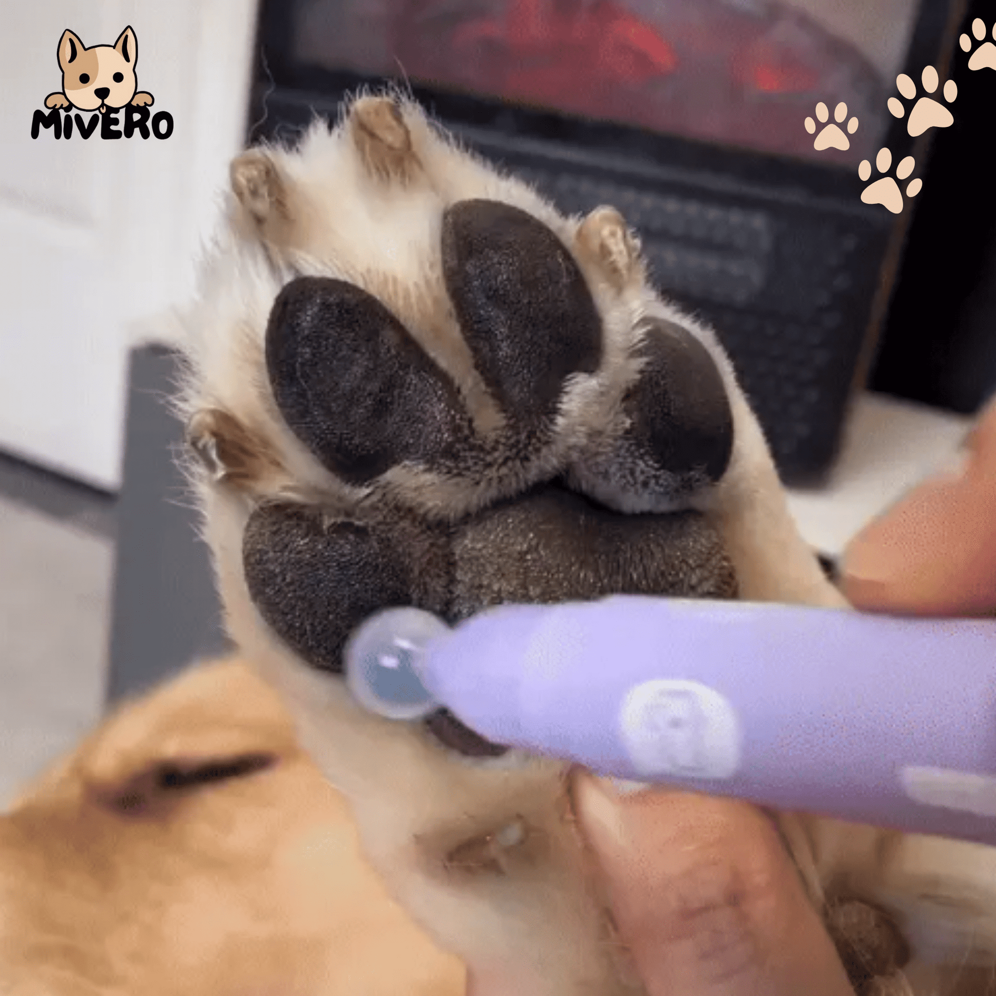 Pawfect - Lick - Safe Hydraterende Pootolie - Mivero