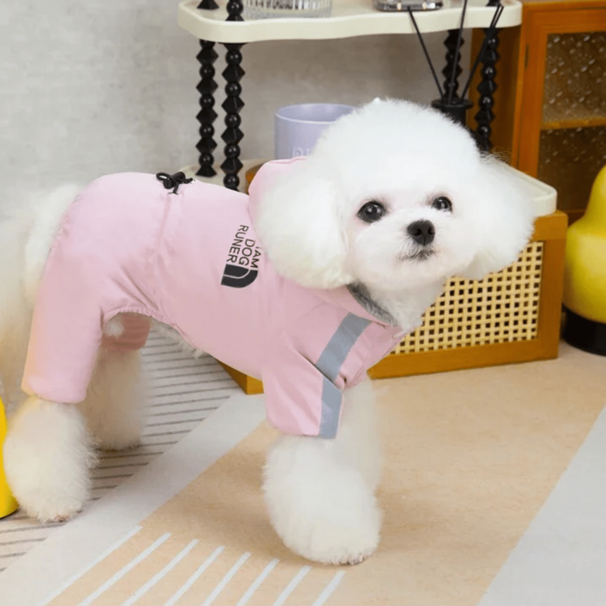 PawGear - Houdt huisdieren warm en droog - Mivero