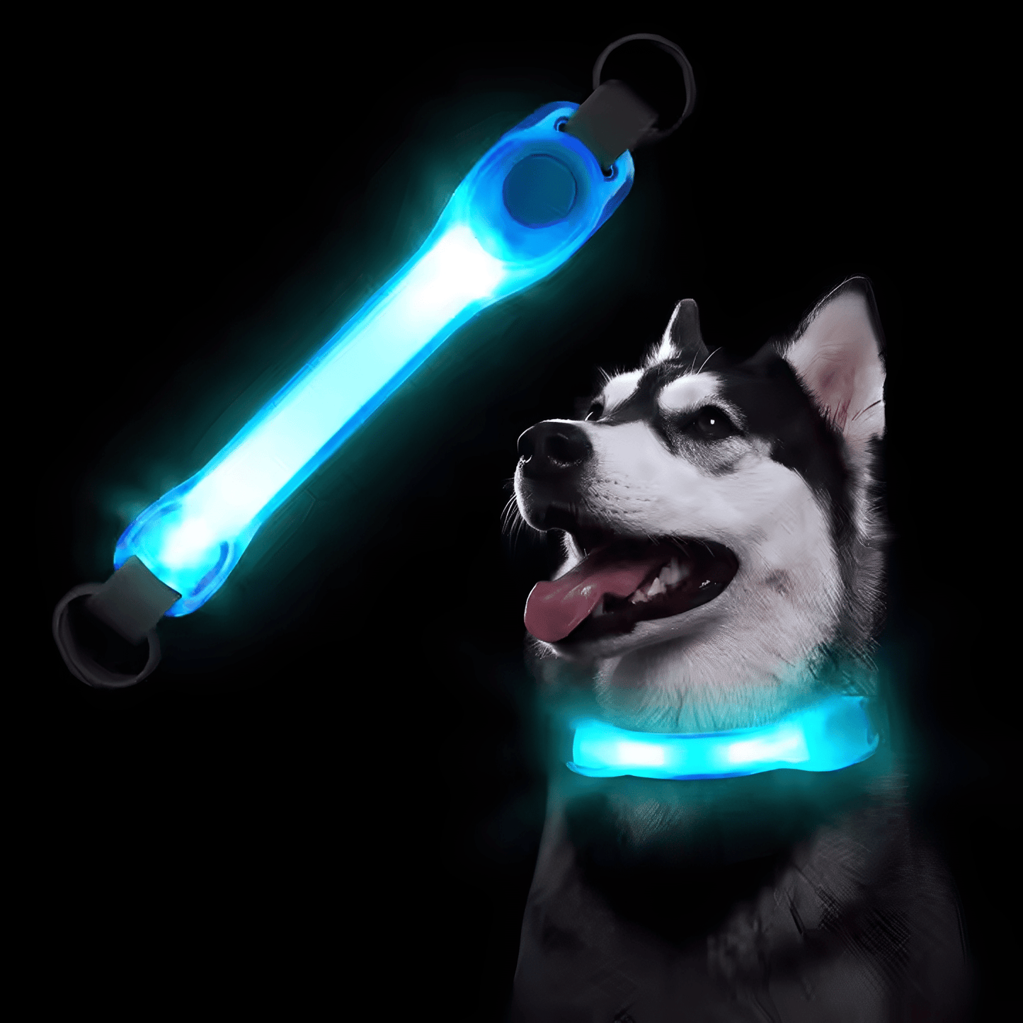 pawglow - led veiligheids hondenlamp - mivero