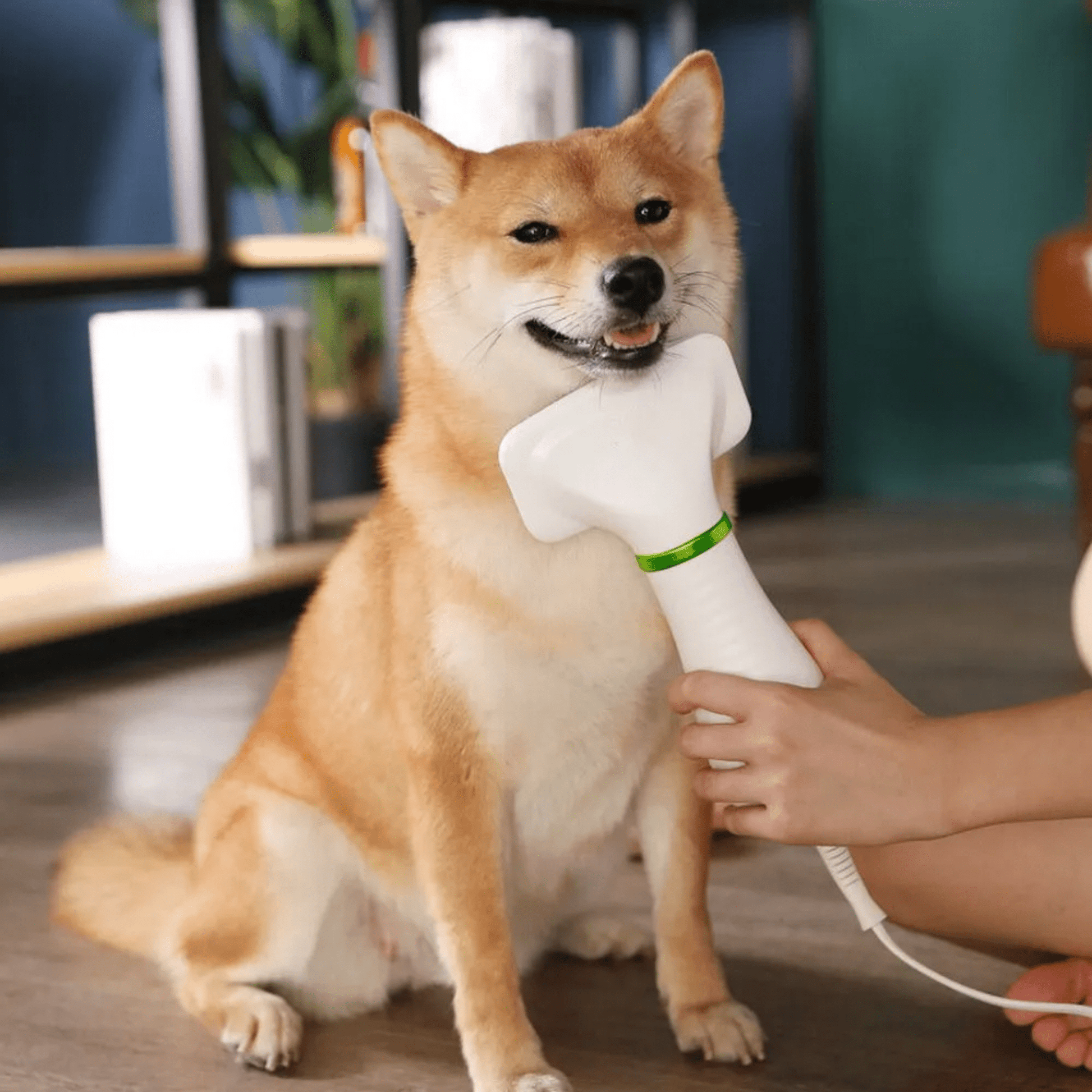 PawGroom - Rustgevende Droog - Borstel Hondenföhn - Mivero