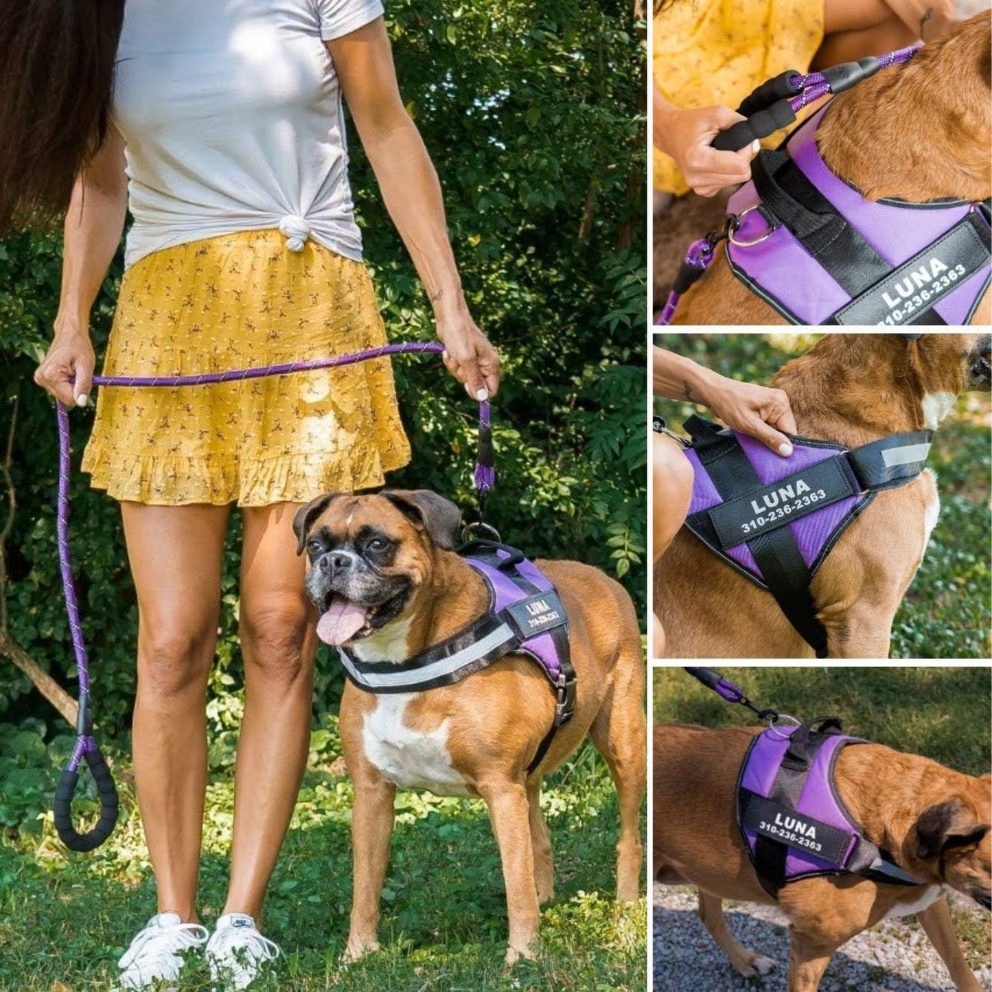 pawguard - gepersonaliseerd hondentuigje - mivero