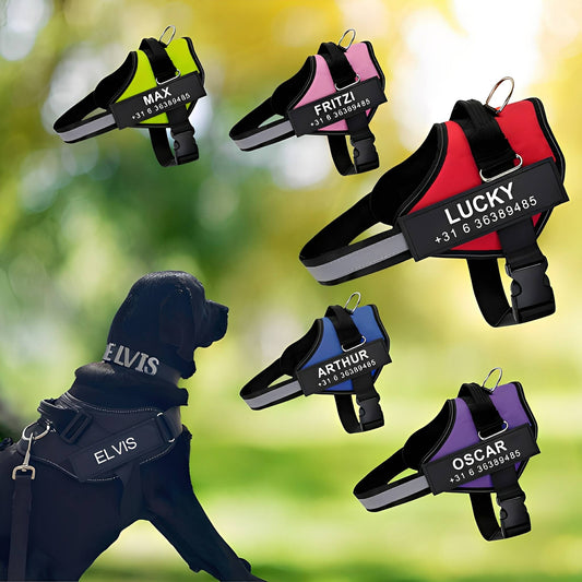 PawGuard - Gepersonaliseerd Hondentuigje - Mivero