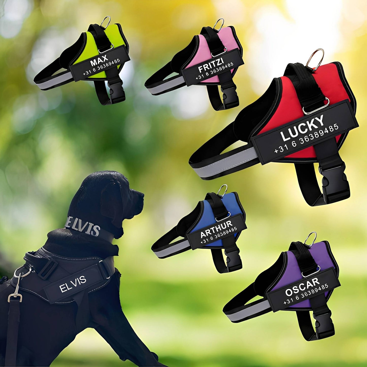 pawguard - gepersonaliseerd hondentuigje - mivero