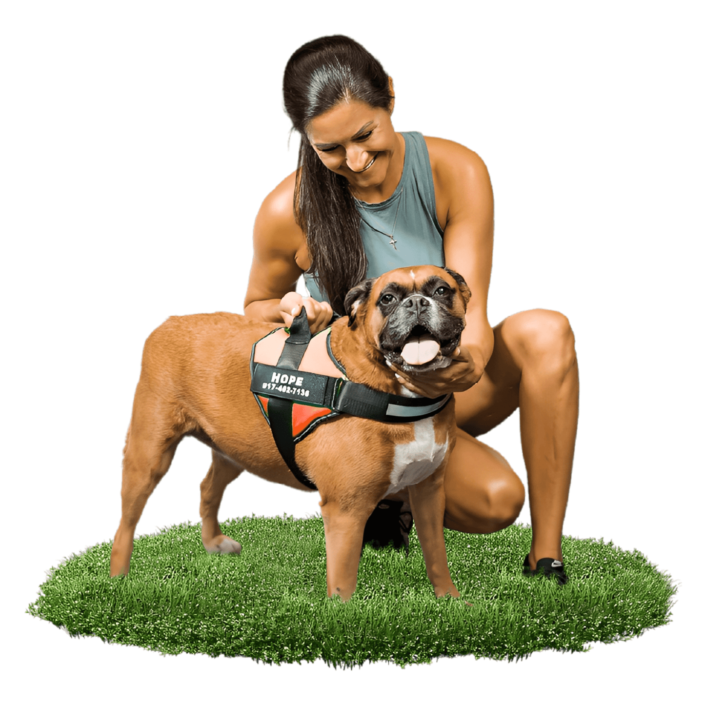 pawguard - gepersonaliseerd hondentuigje - mivero