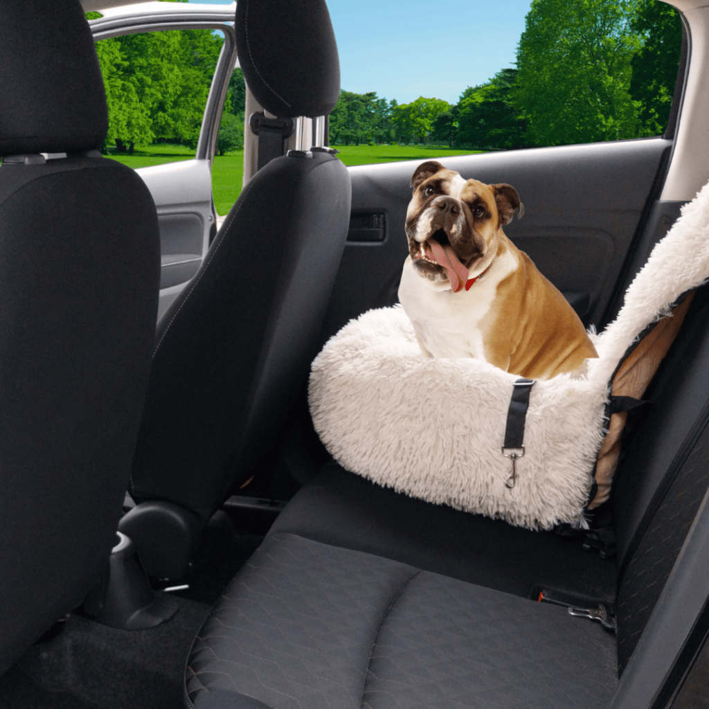 PawHaven - Veilige en comfortabele reisplek - Mivero