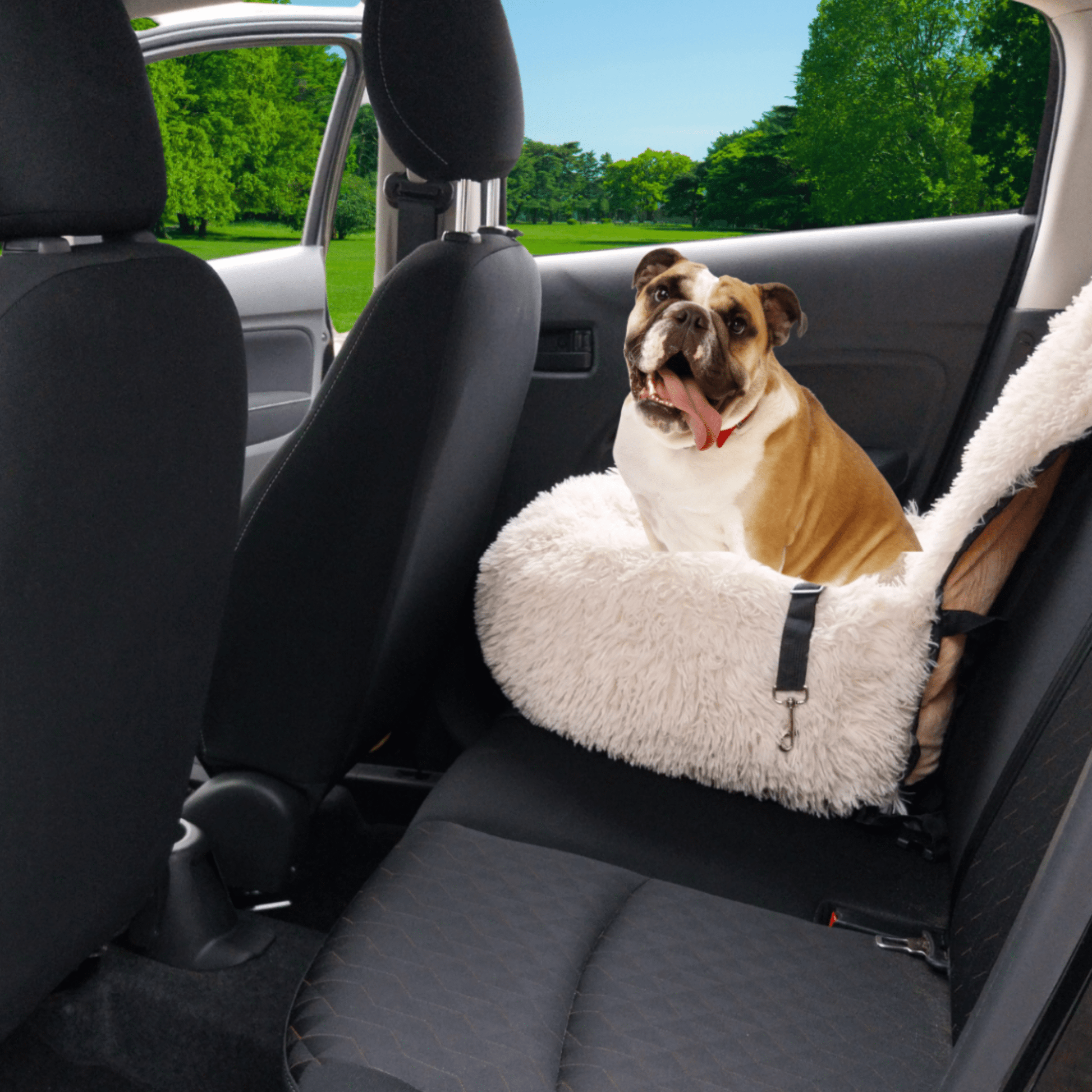 PawHaven - Veilige en comfortabele reisplek - Mivero