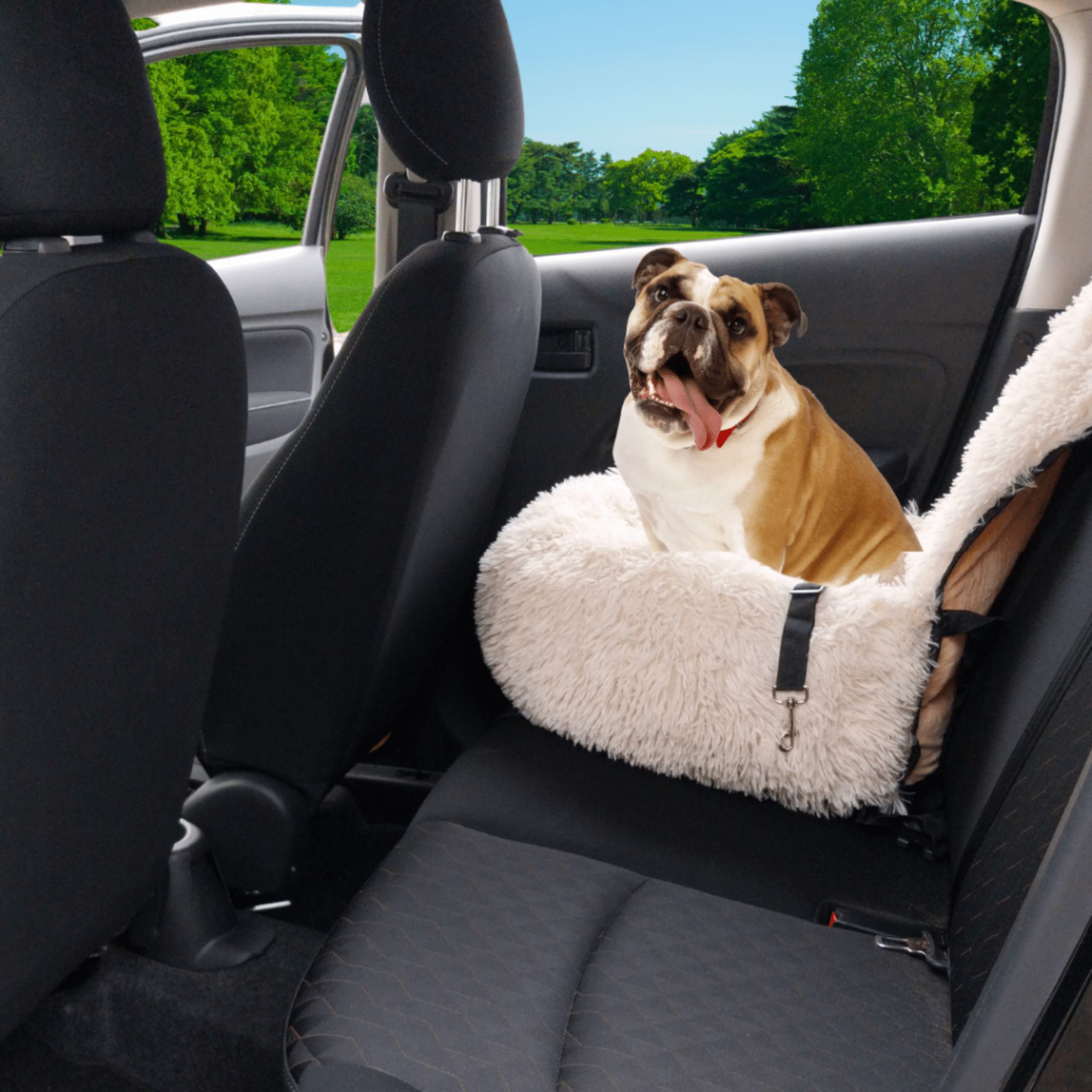 PawHaven - Veilige en comfortabele reisplek - Mivero