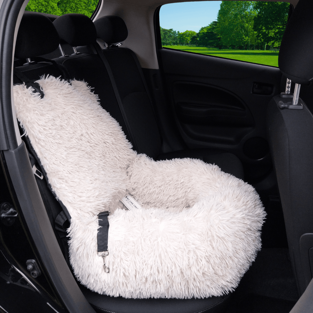 PawHaven - Veilige en comfortabele reisplek - Mivero