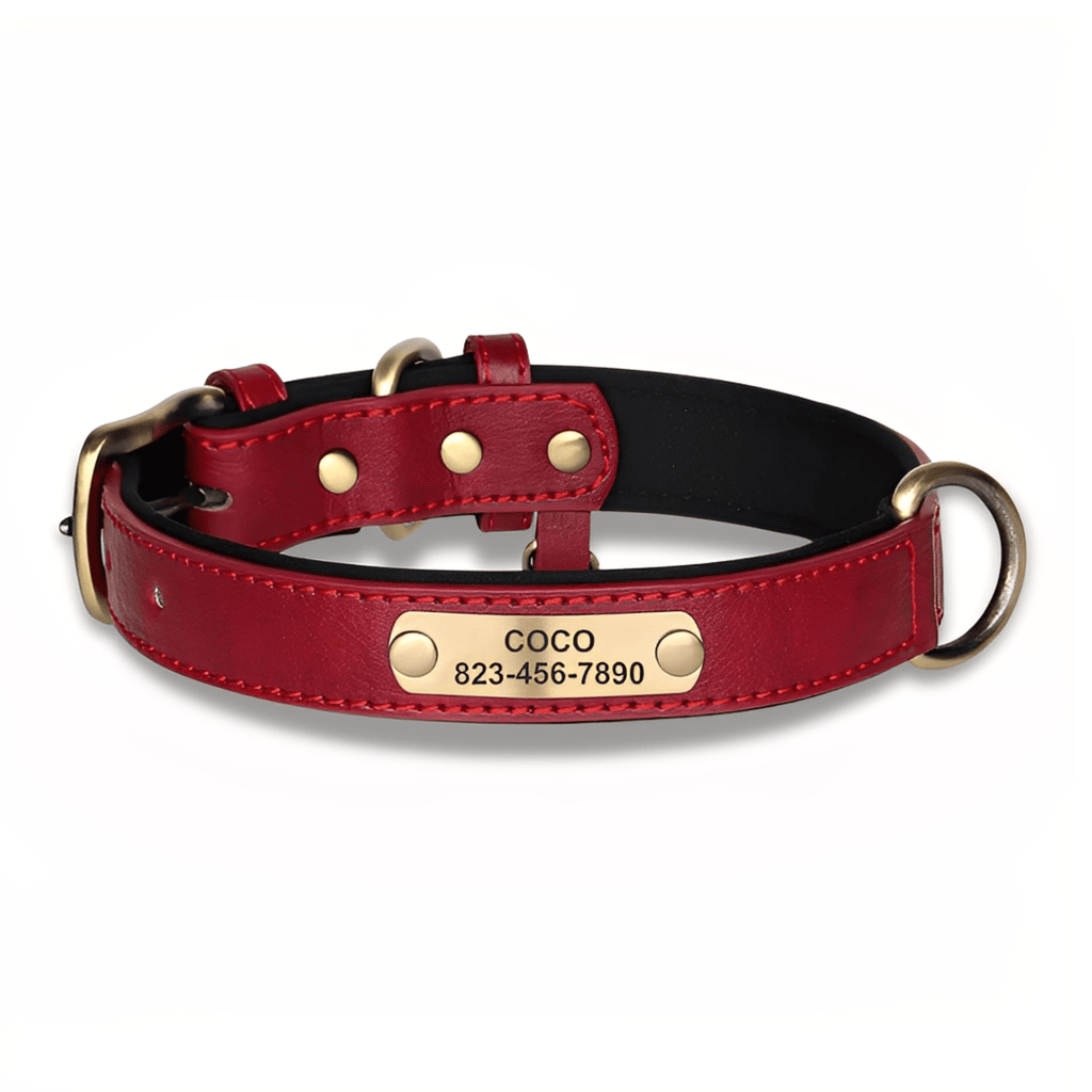 PawID - Gegraveerde Leren Hondenhalsband - Mivero