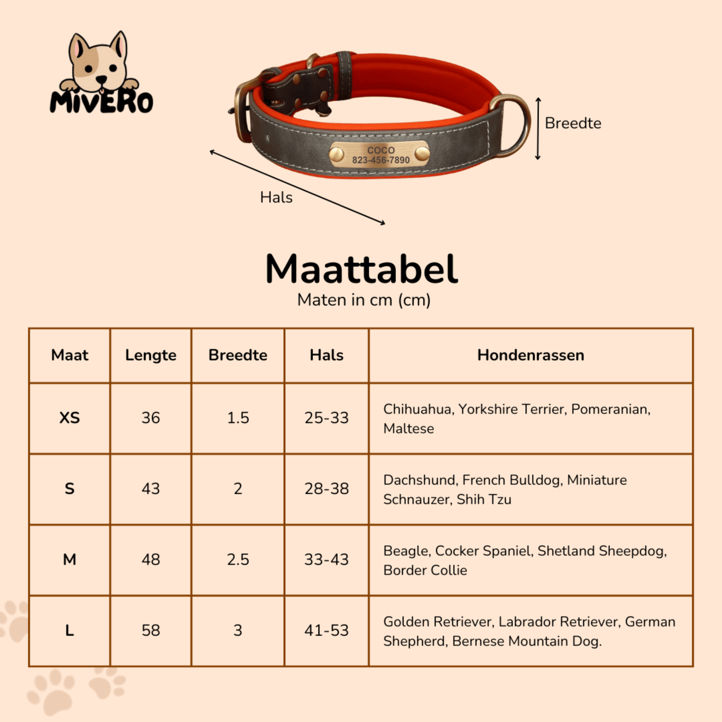 pawid - gegraveerde leren hondenhalsband - mivero