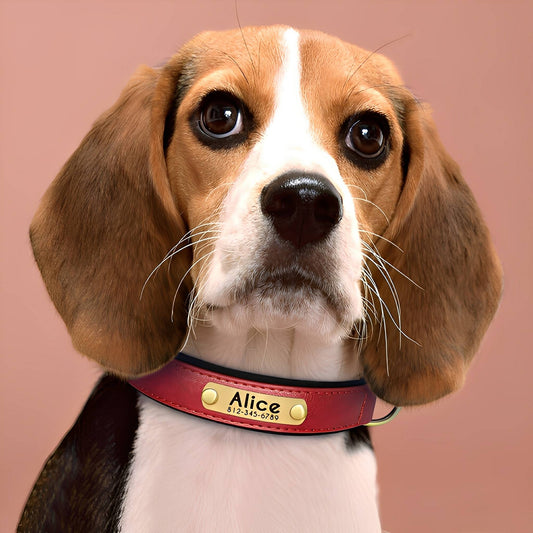 PawID - Gegraveerde Leren Hondenhalsband - Mivero