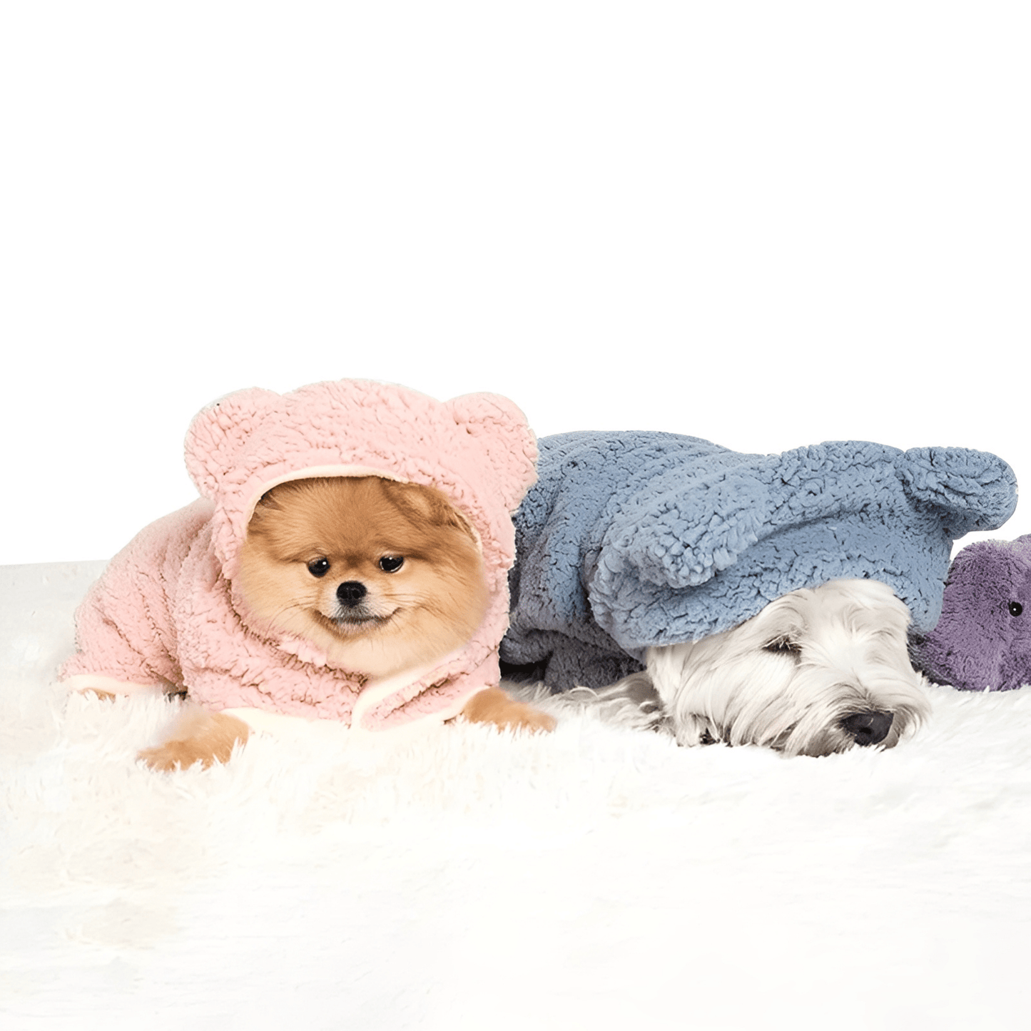 pawjamas - houd huisdieren warm en veilig - mivero